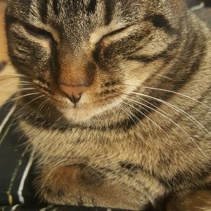 Meet your Posher, Victoria